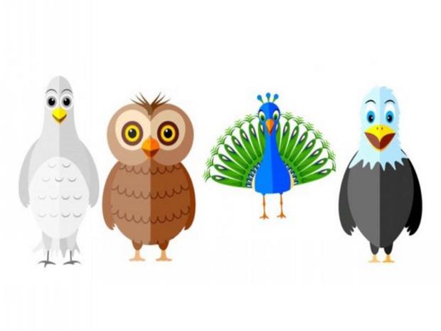 TEST VISUAL | Esta imagen te muestra cuatro aves: una paloma, un búho, un pavo real y un águila. Indica cuál se ‘robó’ tu atención. (Foto: namastest.net)