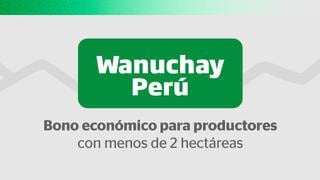 Link, Bono Wanuchay 2022: consulta con DNI si eres beneficiario y hasta cuándo pagan