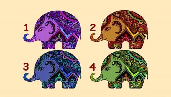 TEST VISUAL | En esta imagen se puede apreciar varios elefantes. Tienes que elegir uno. (Foto: namastest.net)