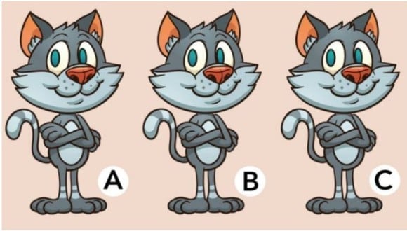 ¿Cuál de los tres gatos es el diferente en el acertijo visual? 7 segundos hacen fallar al 90%. (Foto: EnLaHora)