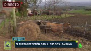 Insólito: ‘El Chiringuito’ viajó hasta el pueblo que Quique Setién para “entrevistar" a las vacas del nuevo DT del Barça [VIDEO]