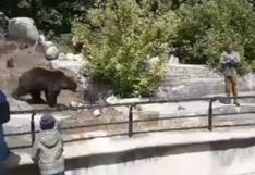 Borracho busca pelea e intenta ahogar a una osa en un zoológico