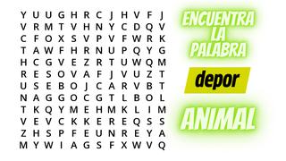 Encuentra la palabra “ANIMAL” en la sopa de letras en menos de 15 segundos