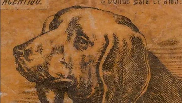 En esta imagen tienes que buscar el rostro del dueño del perro en solo 7 segundos.| Foto: American Puzzle Cards