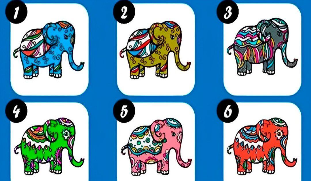 Test visual: elige uno de los elefantes y descubre cuáles son tus principales metas (Foto: GenialGuru)