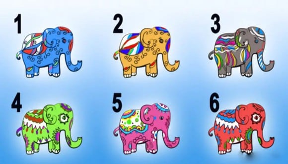 TEST VISUAL | En esta imagen puedes apreciar varios elefantes. Tienes que elegir uno. (Foto: namastest.net)