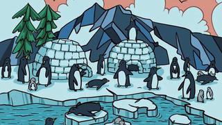 Tu deber es encontrar la foca oculta en el reto viral de los pingüinos en segundos