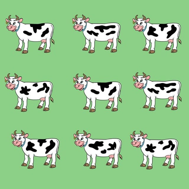 Ubica la vaca que se diferencia a las demás de esta prueba visual. (Fotos: Facebook/Genial.guru)