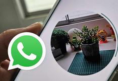WhatsApp: el truco para reenviar un videomensaje