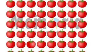 Solo para ‘cracks’: halla el tomate distinto que está oculto en la imagen de este nuevo reto viral [FOTOS]