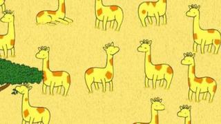 ¿Puedes hallar a la jirafa sin pareja en la imagen tendencia en las redes sociales de ahora? [FOTOS]