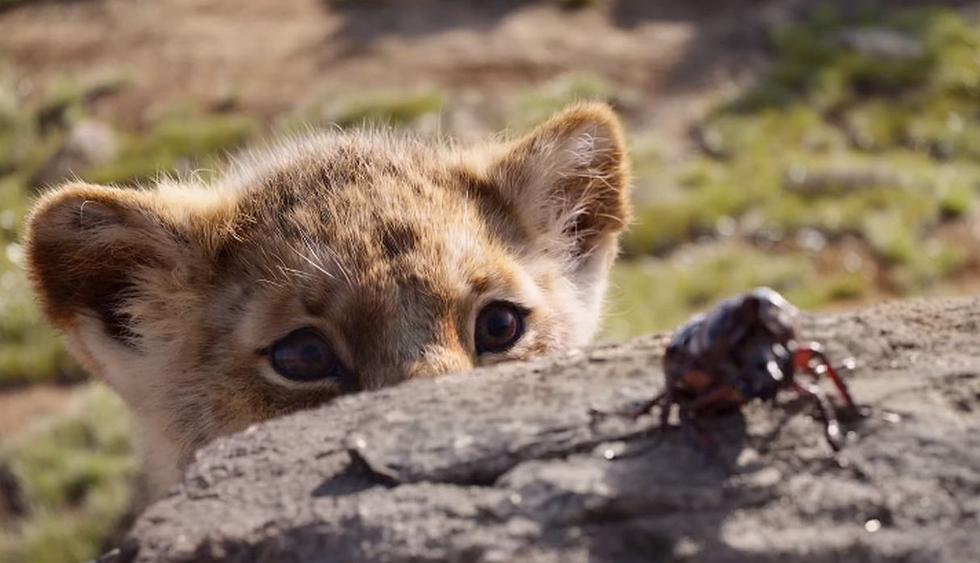 Comparten emotivo póster internacional de la película de “El Rey León”. (Fotos: Disney)