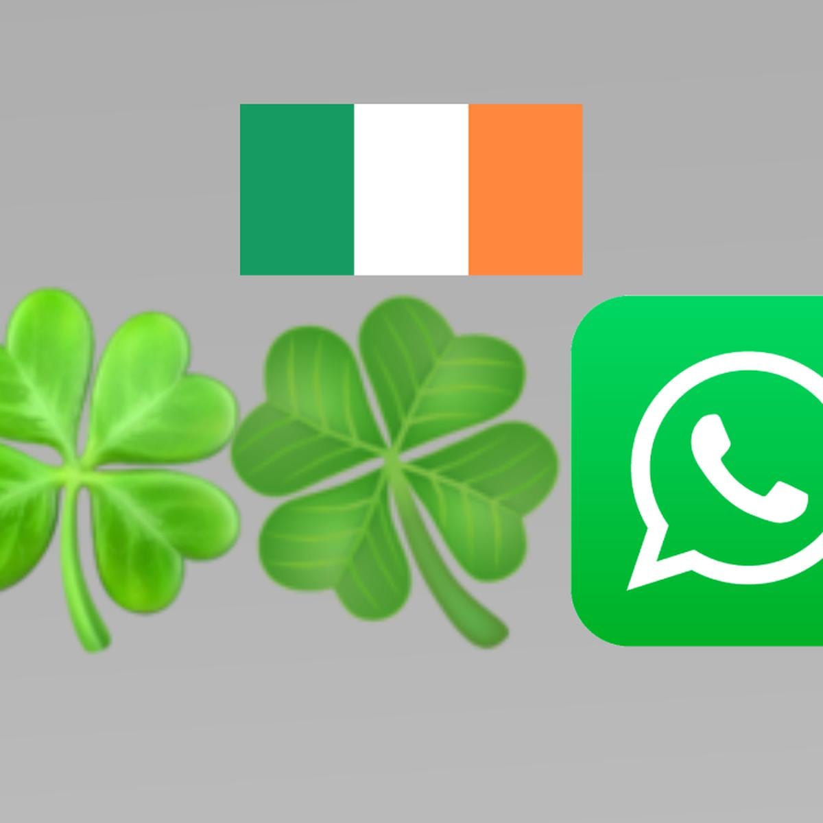 WhatsApp | por qué el trébol de cuatro hojas es importante para Irlanda |  Meaning | Significado | Aplicaciones | Smartphone | Tecnología | nnda |  nnni | DEPOR-PLAY | DEPOR