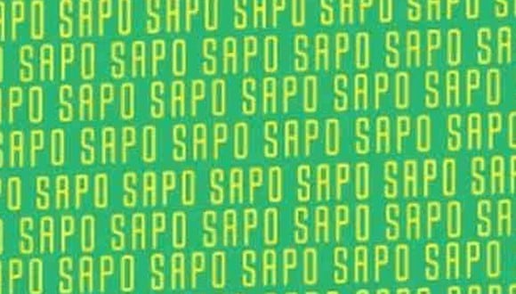 En esta imagen, cuyo fondo es de color verde, abundan las palabras ‘SAPO’. Entre ellas, está el término ‘SOPA’. (Foto: MDZ Online)