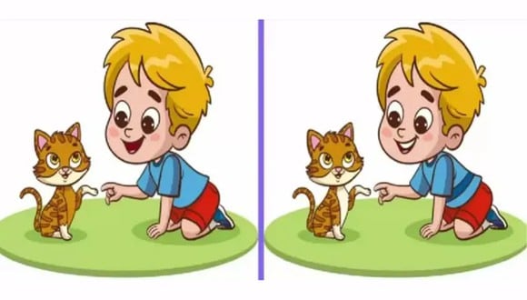 DESAFÍO VISUAL | Tienes una visión 20/20 si puedes detectar las tres diferencias sutiles entre estas dos fotografías de gatitos en solo 10 segundos.