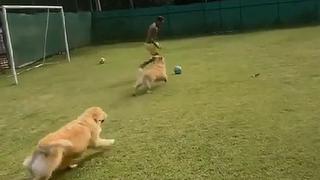 Neymar se entretiene en cuarentena dribleando a sus perros con una pelota | VIDEO