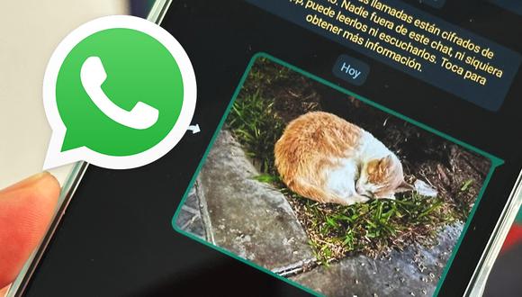 Whatsapp Cómo Espiar Las Fotos Que Manda Tu Pareja Sin Que Se Entere Truco 2023 Nnda 7347