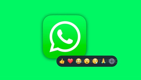La reacción de mensajes ya es una función oficial de WhatsApp, mientras que la de estados solo se encuentra disponible en el programa beta del aplicativo. (Foto: WhatsApp)