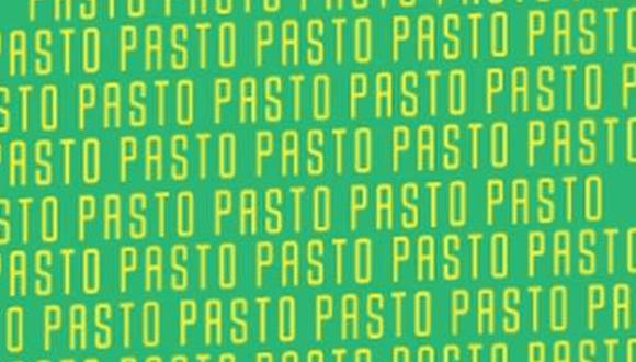 En esta imagen está la palabra ‘GASTO’ y tú tienes que hallarla. (Foto: MDZ Online)