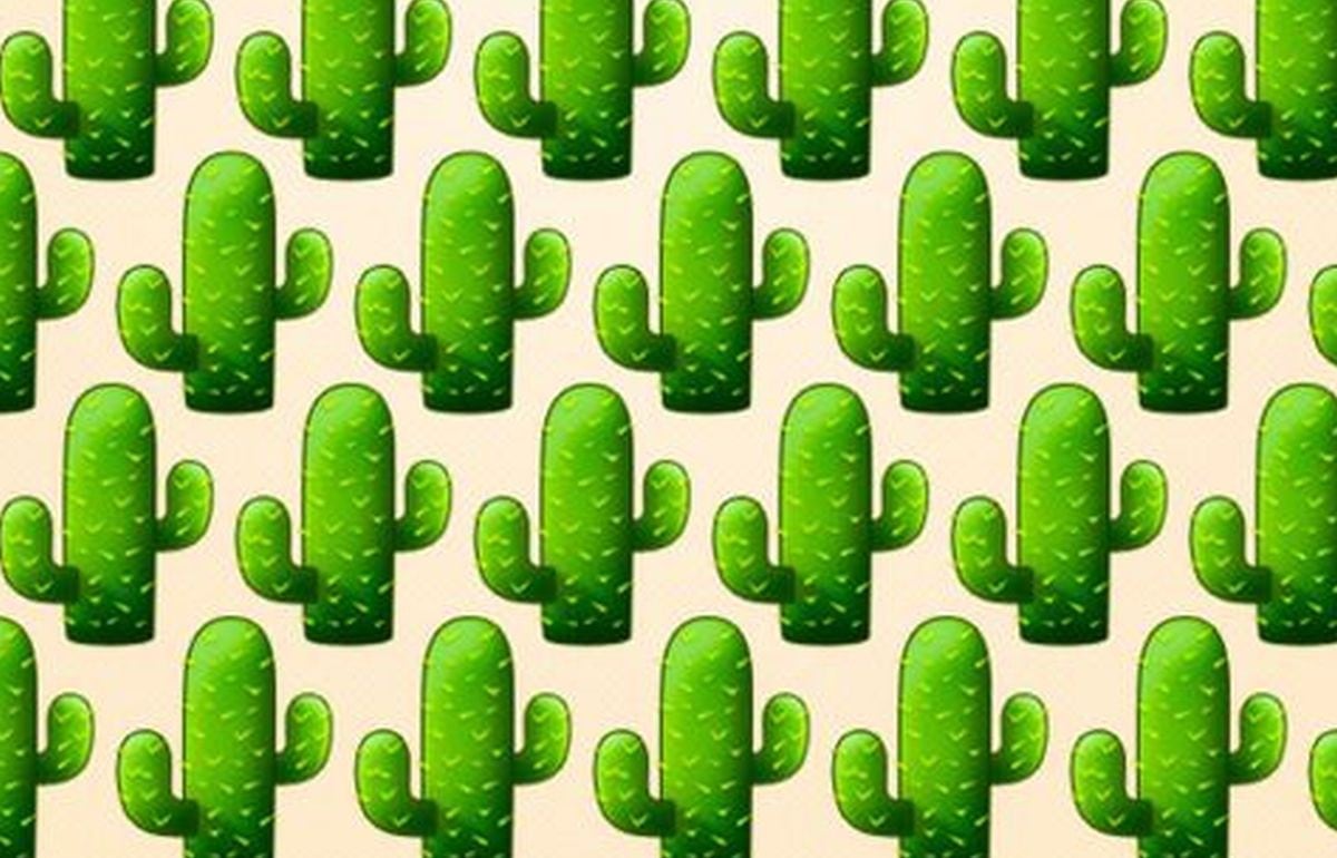 Ubica el cactus diferente en la imagen en el menor tiempo posible (Foto: Facebook)