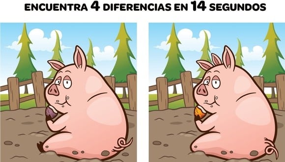 ¿Puedes encontrar 4 diferencias entre las dos imágenes de cerdos en 14 segundos? (Foto: Brightside.me)