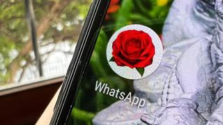 Santa Rosa de Lima: cómo poner una rosa como ícono de WhatsApp