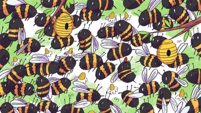 Mira la imagen de las abejas y ubica al oso que tiene complejo de insecto. (Mdzol)