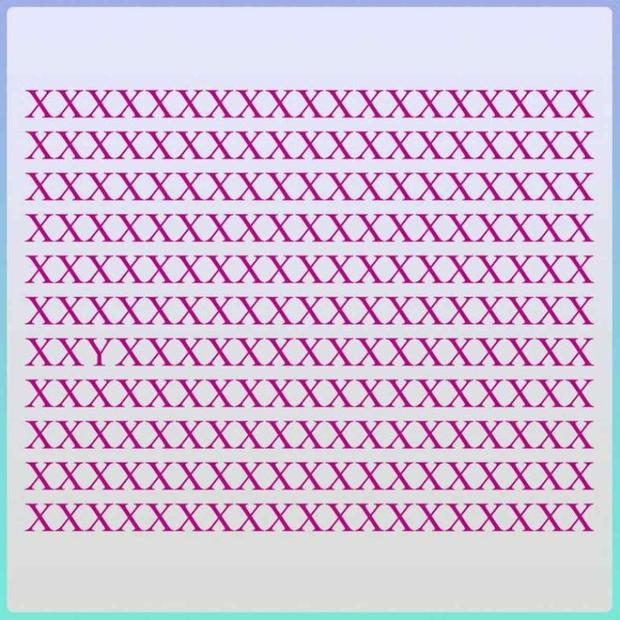 Tienes 15 segundos para hallar la letra ‘Y’ en la imagen. (Foto: MDZ Online)