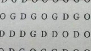 Encuentra la palabra ‘DOG’ en el reto viral que solo el 3% logró ubicar en 10 segundos [FOTO]