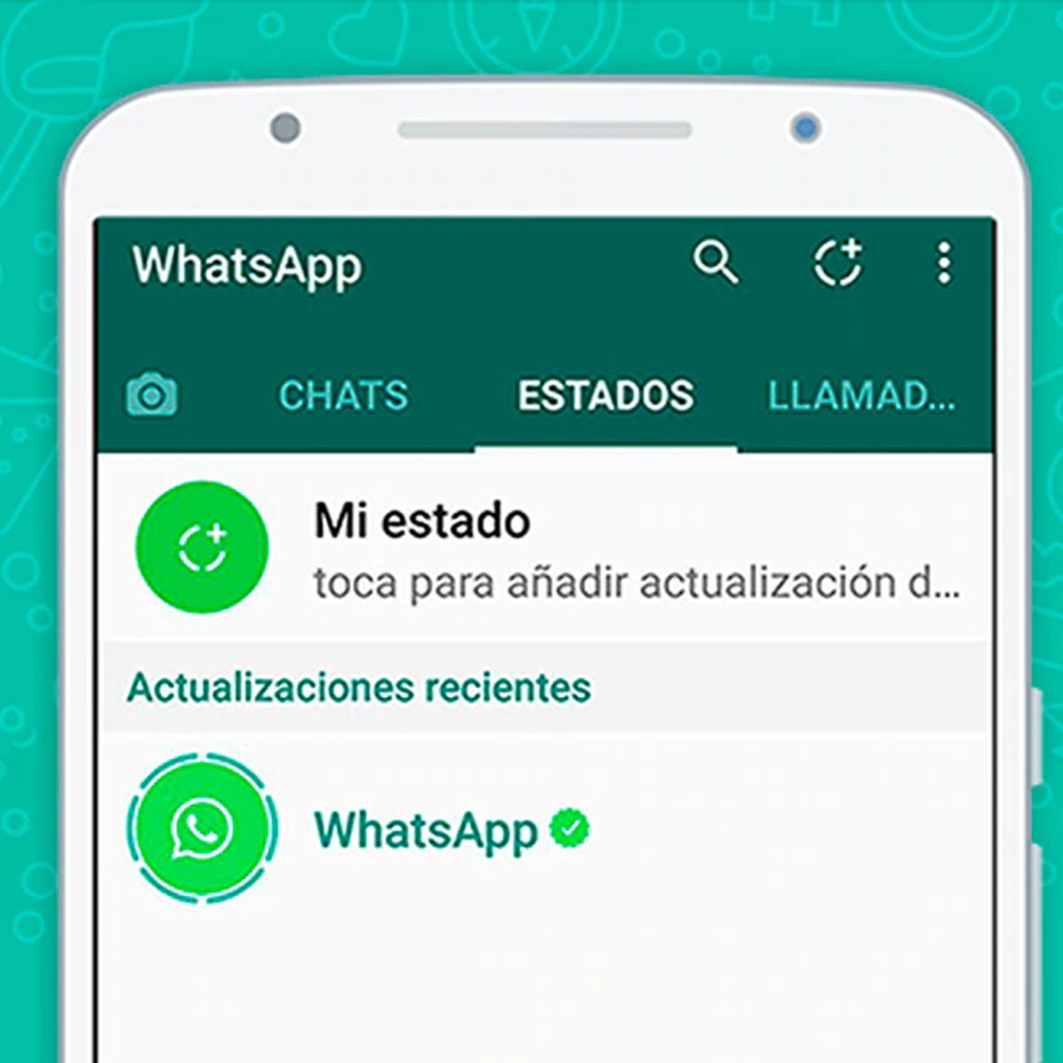 WhatsApp | Truco 2020 | Cómo ocultar todos los estados de la aplicación |  Wasap | Tutorial | Viral | Wsp Web | Smartphone | Celulares | Hiding Status  | Estados Unidos | España | México | Argentina | Colombia | Perú | NNDA |  NNNI | DEPOR-PLAY | DEPOR