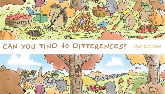 El reto viral nos muestra a diversos animales en dos imágenes distintas y el reto viral te pide hallar las 10 diferencias.
