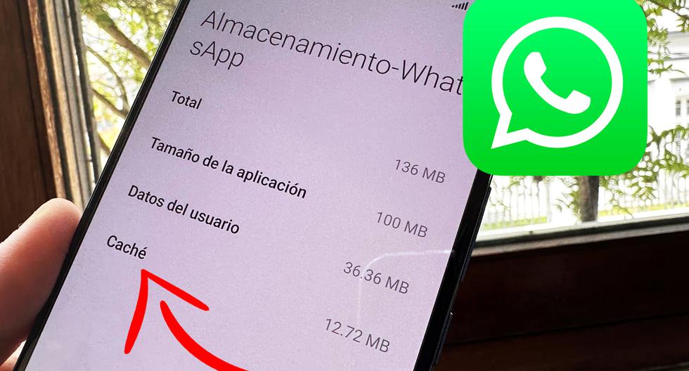 WhatsApp |  Why should you delete the cache |  wander |  Smart phones |  Hoax 2022 |  nda |  nnni |  sports game