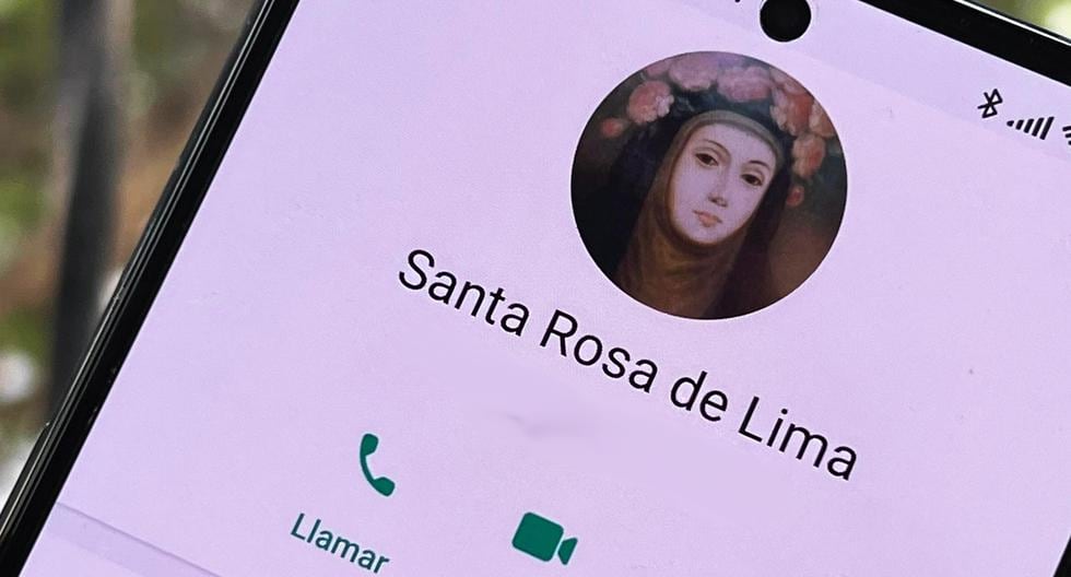 Santa Rosa de Lima: You can now send your messages via WhatsApp or email |  August 30 |  good luck |  nda |  nnni |  sports game