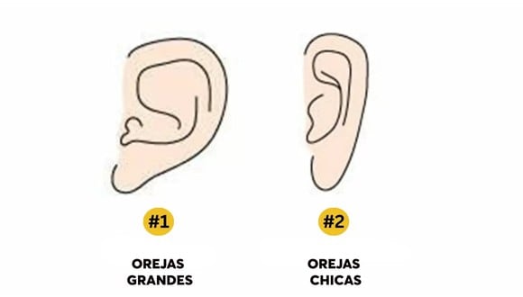TEST DE PERSONALIDAD |  ¿Tienes orejas grandes u orejas pequeñas? Mírate en el espejo o en una fotografía tuya antes de comenzar a leer esta prueba. | jagranjosh