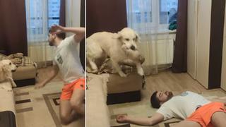Finge su muerte ante su perro y cámara graba la inesperada reacción del animal