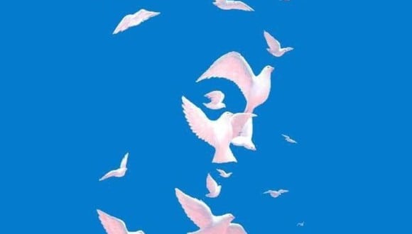 TEST DE PERSONALIDAD | ¿Viste la cara entre los pájaros blancos? | Jagran Josh