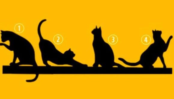 Elige uno de los gatos y descubre cuál es tu propósito en la vida con este test de personalidad (Foto: Facebook).