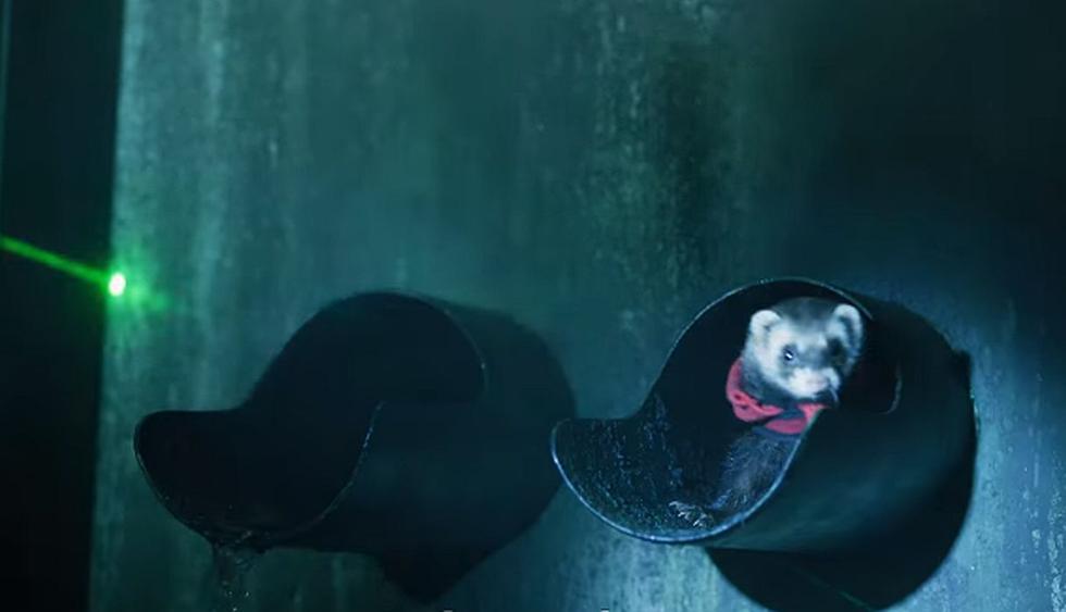 Netflix reveló el divertido y emocionante casting de ‘Sofía’ para "La casa de papel". (Foto: Captura de video)