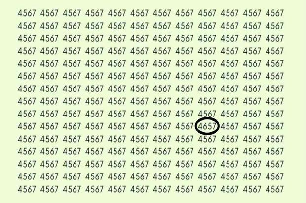 Answer: Only 1 in 10 geniuses with exceptional observation skills have been able to spot '4657'.  (Photo: jagranjosh)