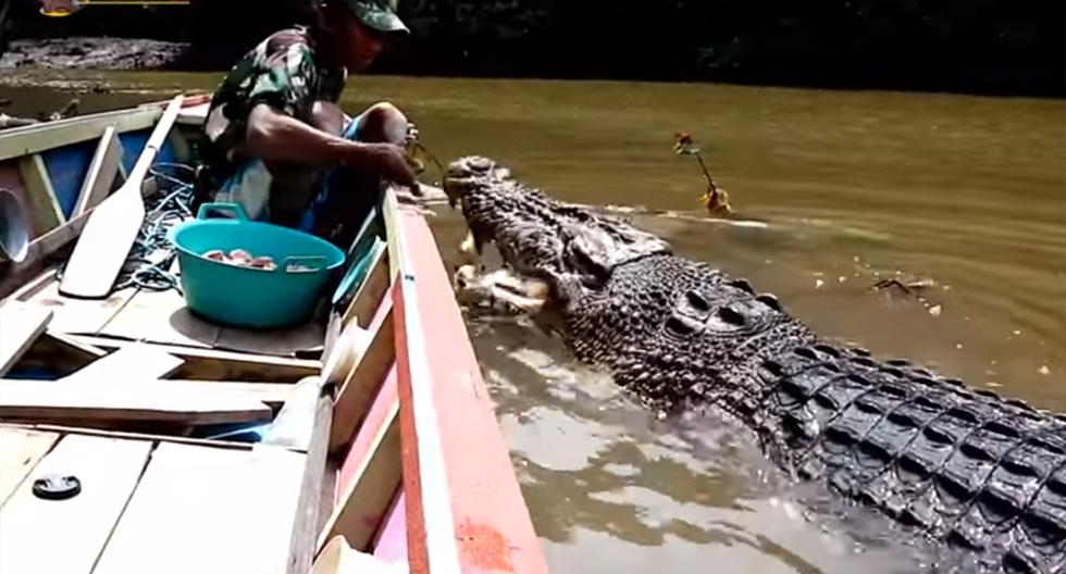 Video viral | Un hombre navega por un río y alimenta a un enorme y  monstruoso cocodrilo | Indonesia | YouTube | YT | México | MX | USA |  virales | zoo | animales | Trends | nnda nnrt | MEXICO | DEPOR
