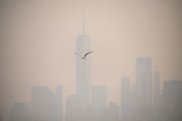 Una gaviota vuela ante el horizonte del bajo Manhattan durante una fuerte niebla tóxica en Nueva York el 6 de junio de 2023 (Foto: Ed Jones / AFP)