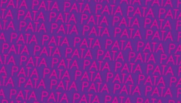 En esta imagen está la palabra ‘RATA’. Tienes que hallarla. (Foto: MDZ Online)