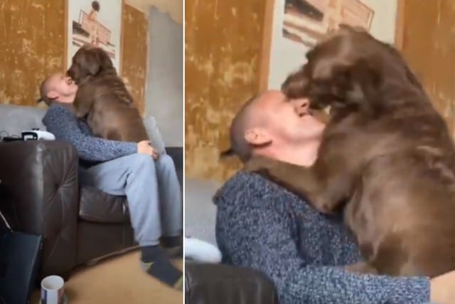 El perro no ocultó su emoción de ver nuevamente a su dueño. (YouTube: ViralHog)