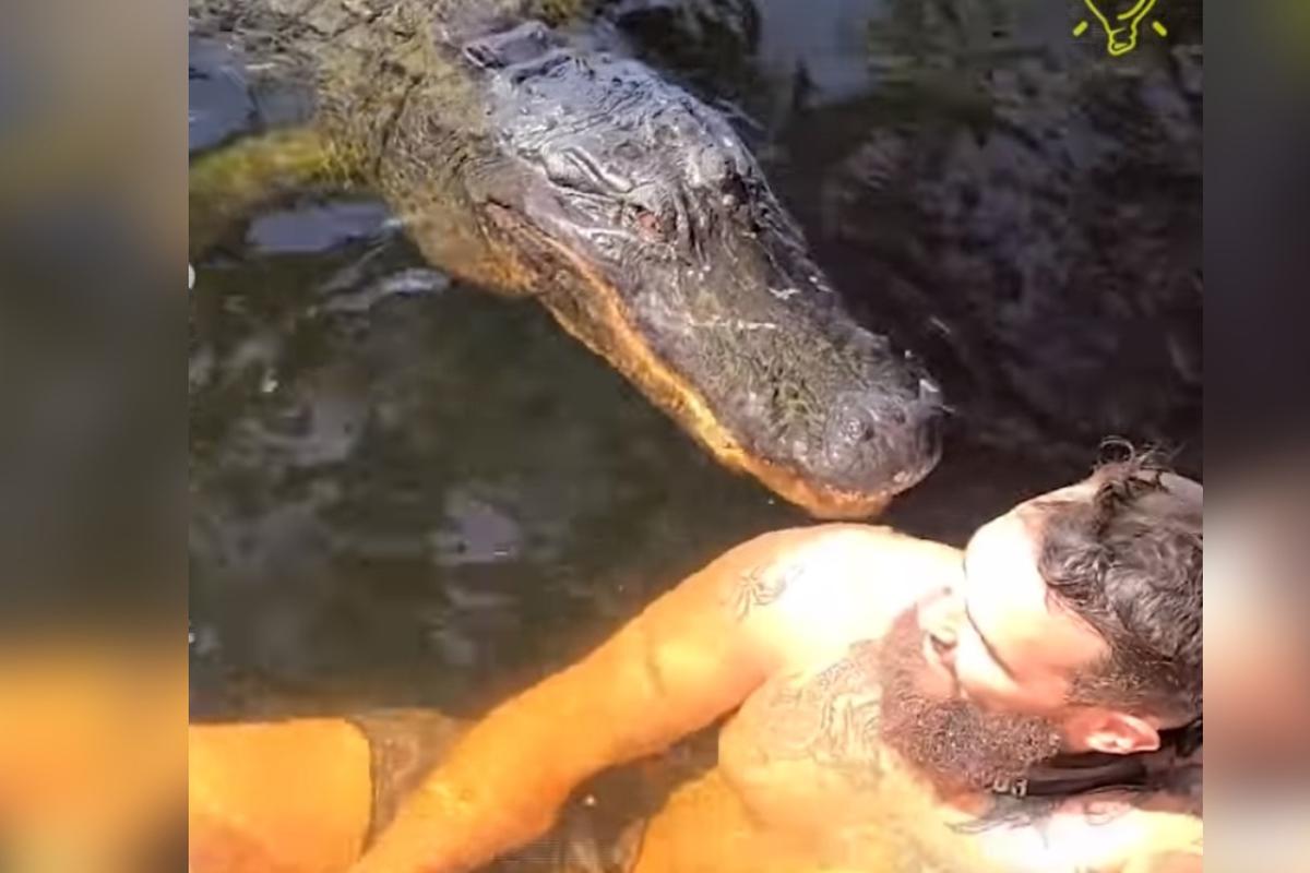 Video viral | Hombre nadó junto a un cocodrilo y se llevó un susto que  jamás olvidará | OFF-SIDE | DEPOR