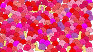 Desafío viral del día: ¿puedes encontrar el corazón oculto entre los caracoles de la siguiente imagen? [FOTO]