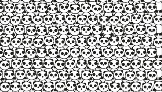 ¿Puedes encontrar el animal distinto al resto de pandas de este desafío visual? (Difusión)