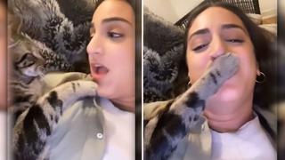Video viral: Gato tapa la boca a su dueña cada vez que habla