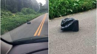 Abre una bolsa de basura que se movía en la carretera y lo que encontró le cambió la vida por completo