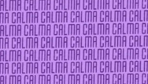 En esta imagen, cuyo fondo es de color morado, abundan las palabras ‘CALMA’. Entre ellas, está el término ‘PALMA’. (Foto: MDZ Online)