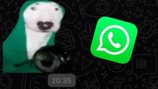 WhatsApp: así puedes crear el sticker con audio del perrito tocando la sartén